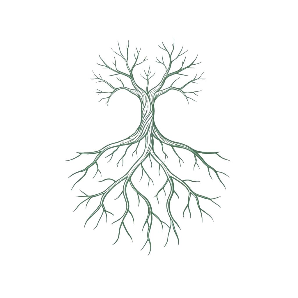 Anchor 04 Roots